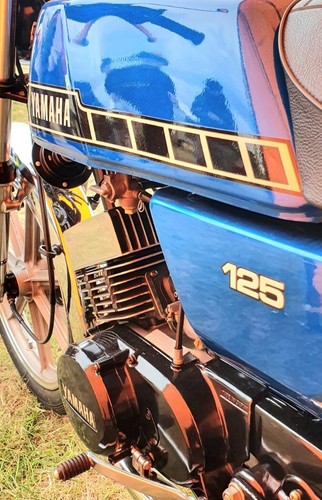 Best yamaha rd125 rd125dx - rd125dx, fuel