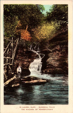 Postcard Hand Colored Albertype Laurel Glen Bushkill Falls Niagara of PA