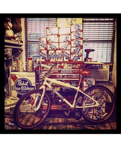 Rare 2015 bikes flyer - rare,