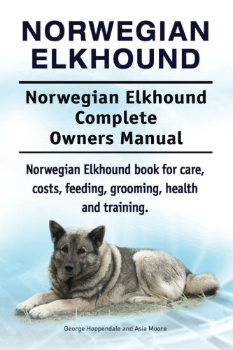 Norwegian elkhound - norwegian,