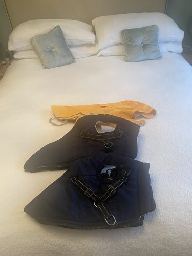 Fleece lined dogs - dogs, with