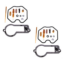 2x Carburetor Repair Kit for