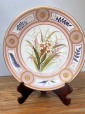 Wonderful 1878 Royal Worcester