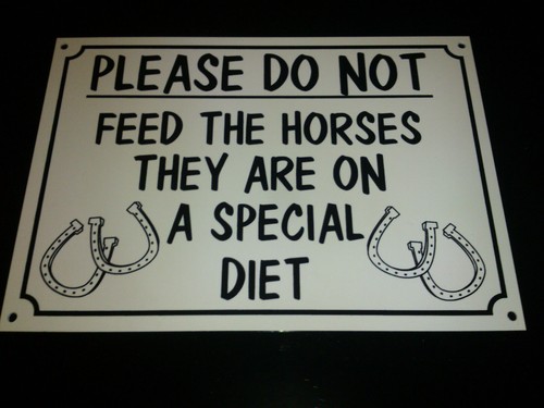Please not feed the - please,
