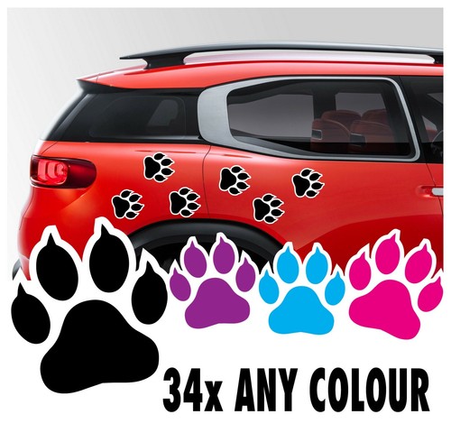 Cat kitten claw paw print - kitten,
