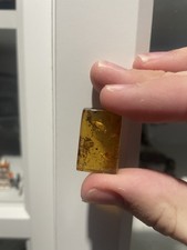 Burmese Amber Cuboid Shape With Atleast 2 Insect Incusions! 99MYO