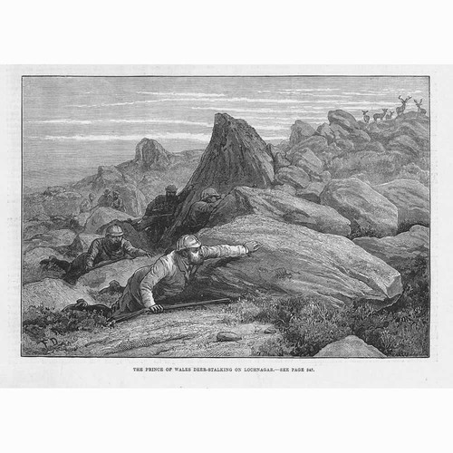 Prince wales deer stalking - wales,