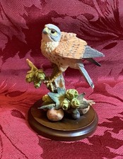 Country Artists Kestrel With