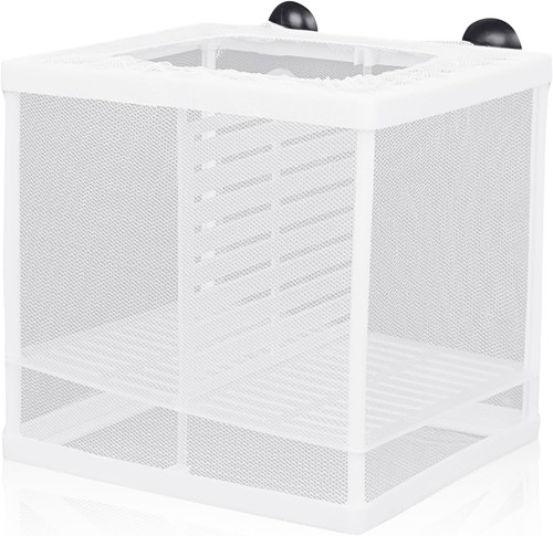 Fish breeding box - breeding,