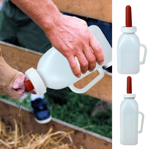Baby goat feeding bottle lamb - feeding,