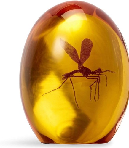Jurassic park mosquito - mosquito, in