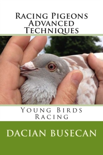 Busecan racing pigeons - -,