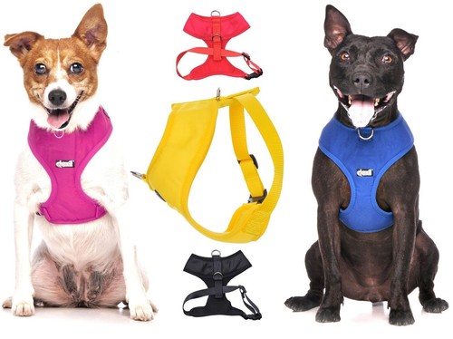 Padded waterproof adjustable - padded,