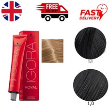 Achieve Radiant 9-0 Extra