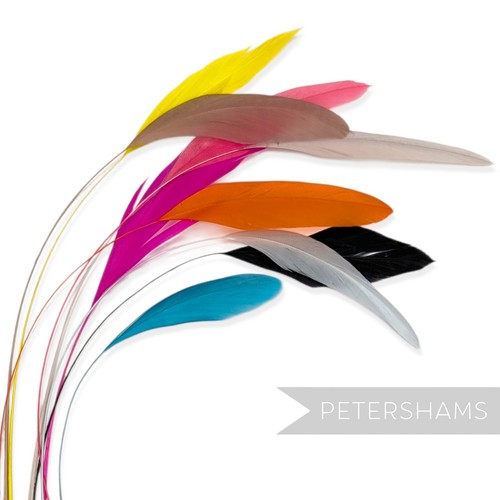Loose stripped coque feathers - loose,