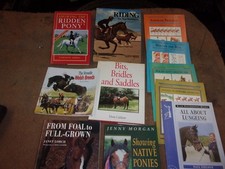 joblot horse/pony