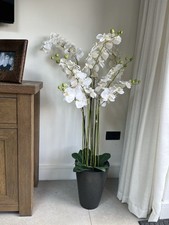 White orchids in black vase