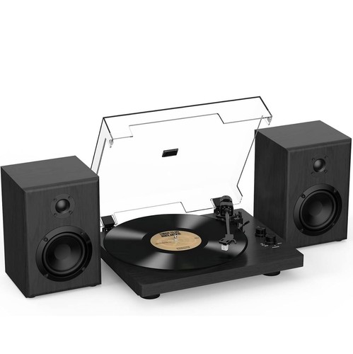 Trynnay turntable vinyl record - trynnay,