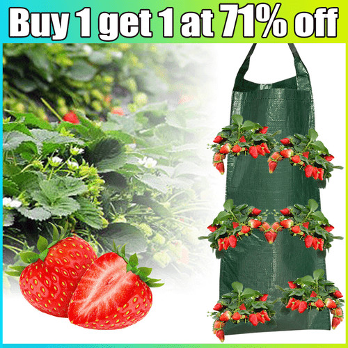 Hanging tomato grow bag upside - grow,