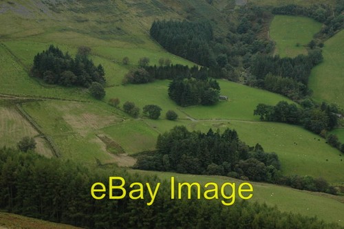 Photo 6x4 grazing - photo,