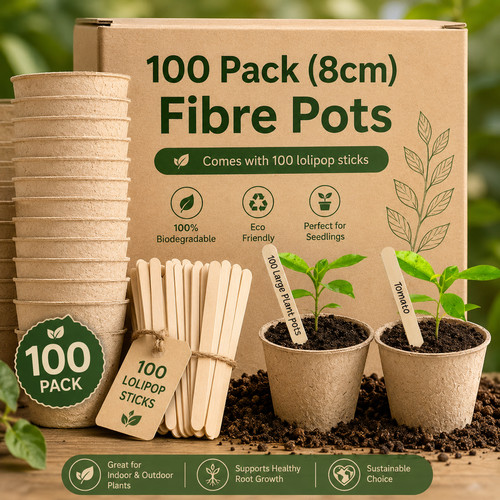 8cm biodegradable seedling - 8cm,