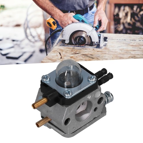 Carburetor with air filter - with,