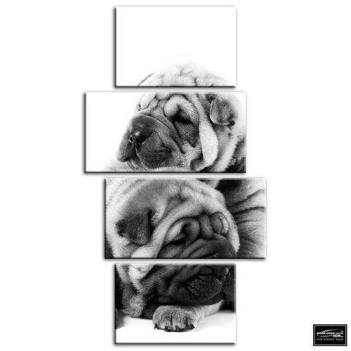 Pug puppies dog animals - dog,