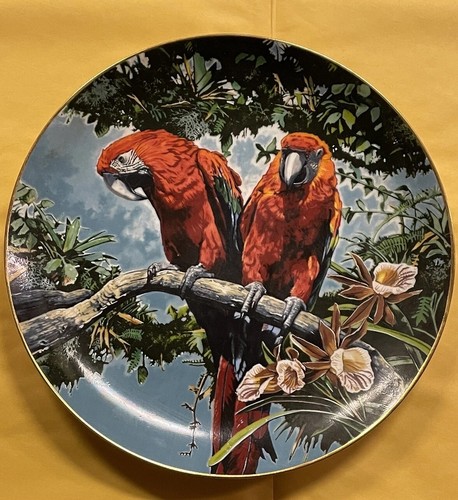 Scarlet macaw parrot tropical - scarlet,