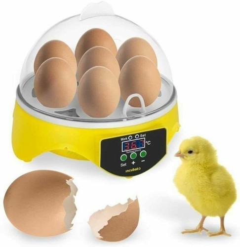 Digital egg incubator - digital,