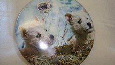 VINTAGE  TOFFEE TIN SCOTTY  /