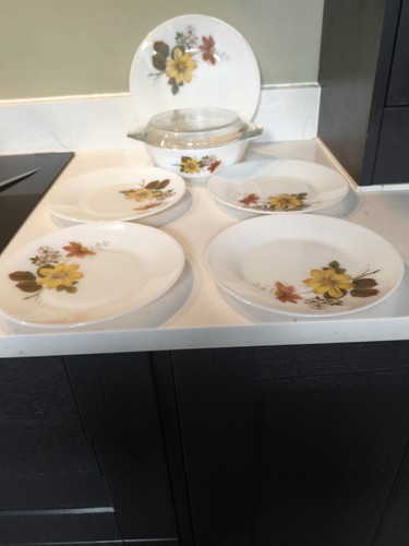 Jaj pyrex autumn glory - pyrex,