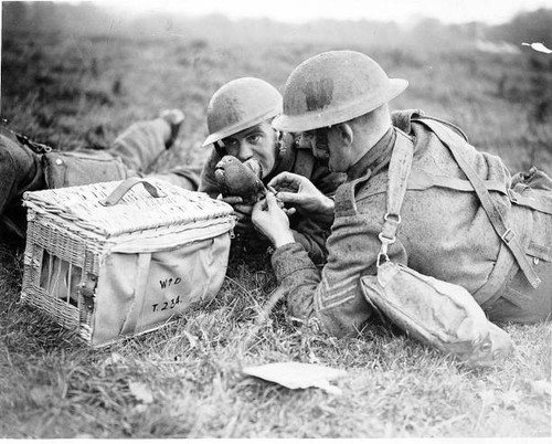 Soldiers send message using - a,