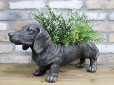 Large Sausage Dog Dachshund