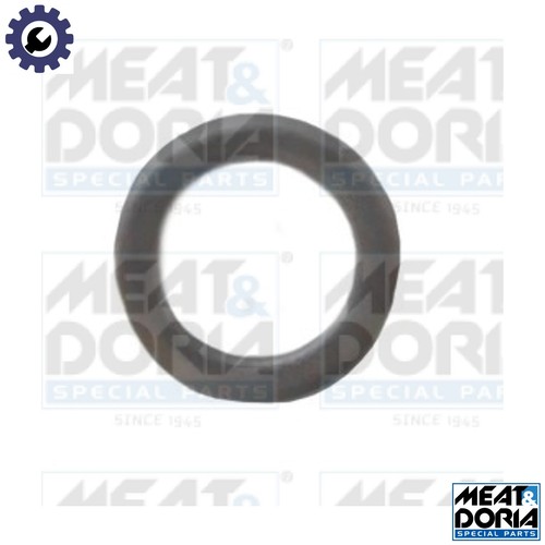 Seal ring injector - ring, for