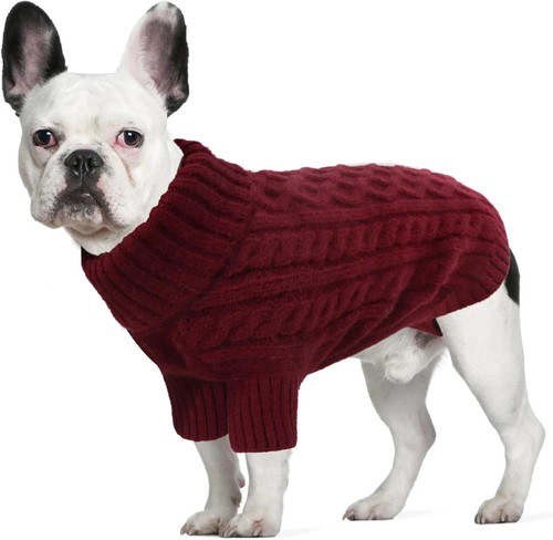 Small medium dog high - small, neck