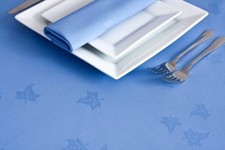Light Blue Napkins /