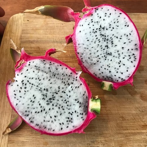 30x dragon fruit seeds - -, grown