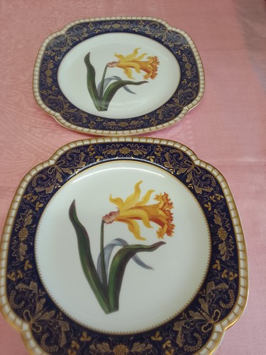 Spode cupboard plates - cupboard,