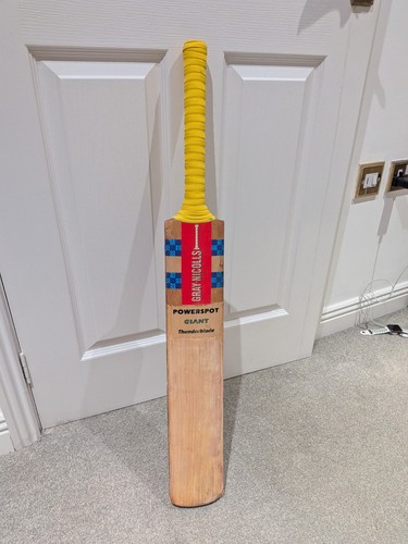 Gray nicolls cricket - cricket, bat