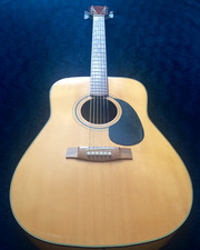 Vintage harmony h656n acoustic - vintage,