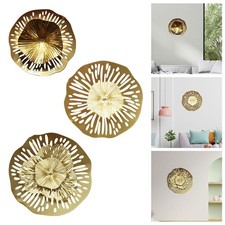 Metal Irregular Disc Wall
