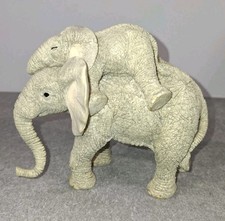 Country Artists Tuskers Paw