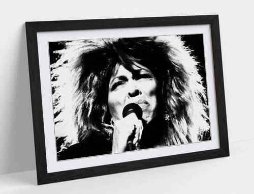 Tina turner singer black - singer, &