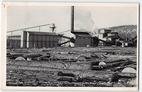 Rppc collins pine - rppc,