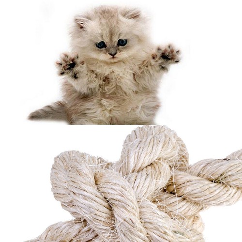 New natural sisal rope coils - sisal,