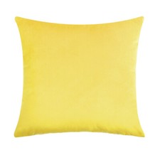 Plush Velvet Cushion Cover