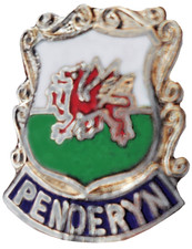 Penderyn village small pin - small,