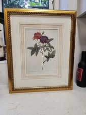 Framed Engraving Joseph Pierre