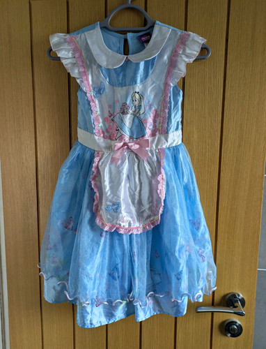 Alice wonderland fancy - alice, in