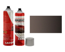 AEROSOL SPRAY PAINT + LACQUER